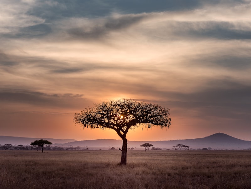 Voyager en Afrique : les meilleures destinations depuis Abidjan